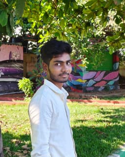 Ravi, Art Member